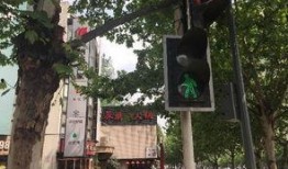 重庆市民爆料最新,神秘事件引发热议，真相究竟如何？