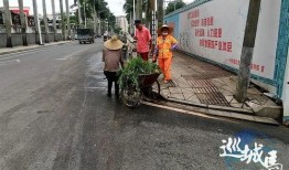 湛江最新市民爆料,市区惊现神秘建筑，引网友热议！
