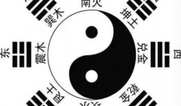 大蒙子最新八卦爆料,娱乐圈风云再起，幕后真相曝光！