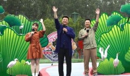 爆料见面翻车视频大全最新,视频大全揭秘网络与现实差距