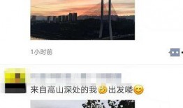 晨光最新爆料视频,揭秘神秘项目背后的惊人真相