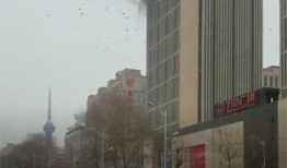 石家庄公寓爆料案件最新,揭秘惊人真相与后续发展