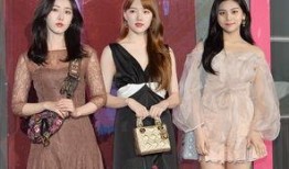 艺琳最新动态爆料,揭秘她背后的故事与最新动向