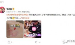 懂瓜呱最新爆料,懂瓜呱最新爆料，带你直击明星幕后真相